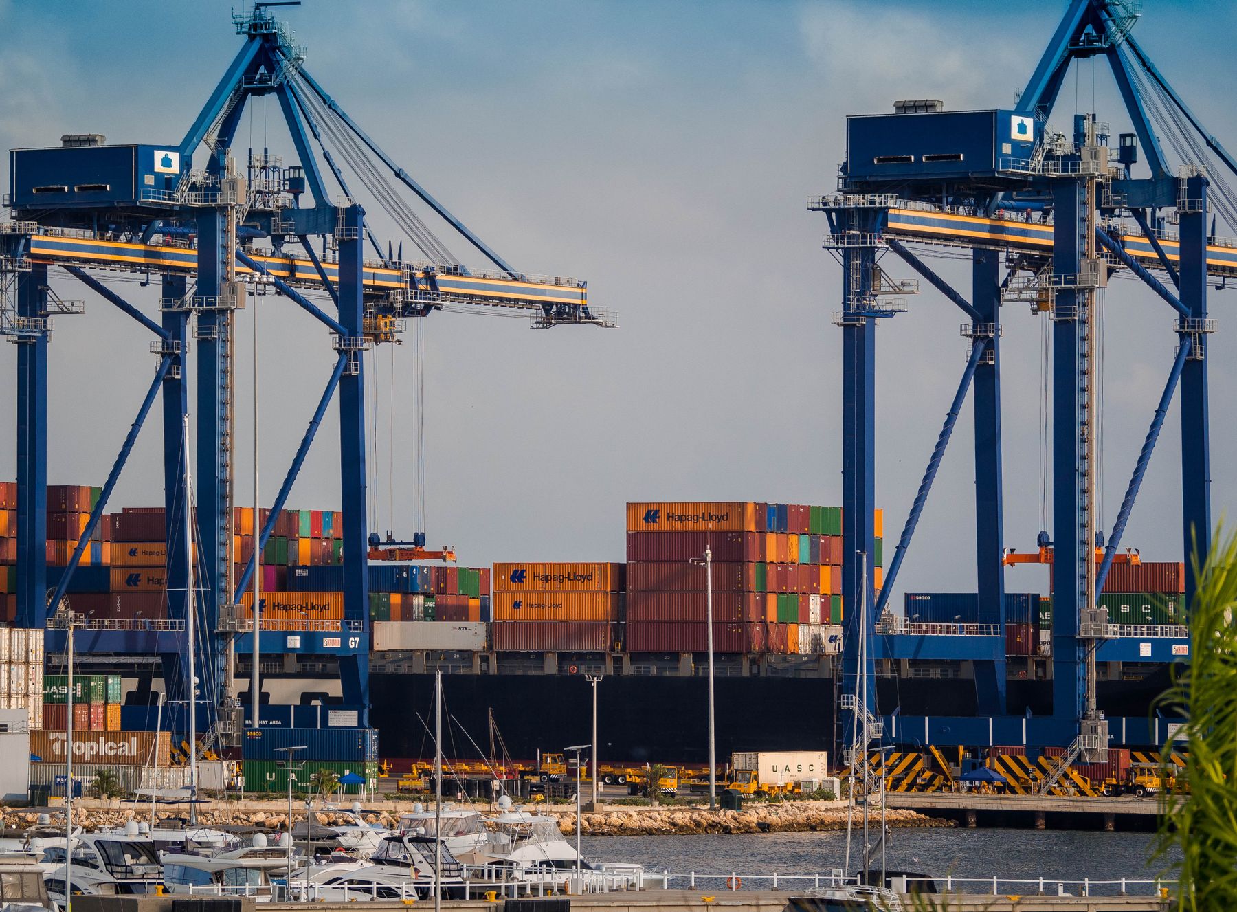 Container cranes operating at an international cargo port
