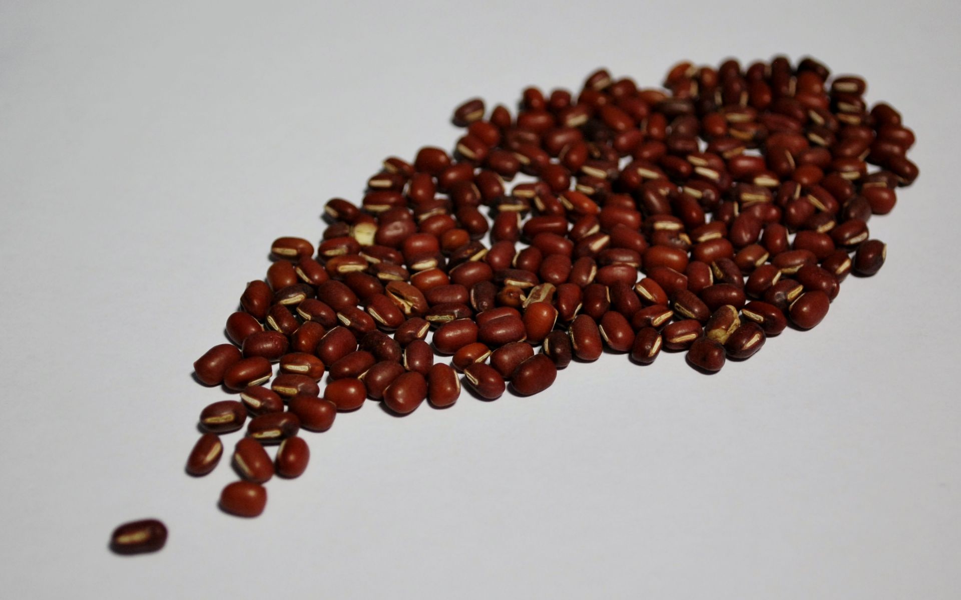 Adzuki beans presented as an Ethiopian agricultural export product