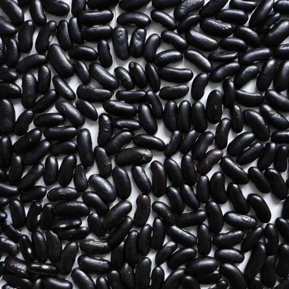 Black long beans presented for export