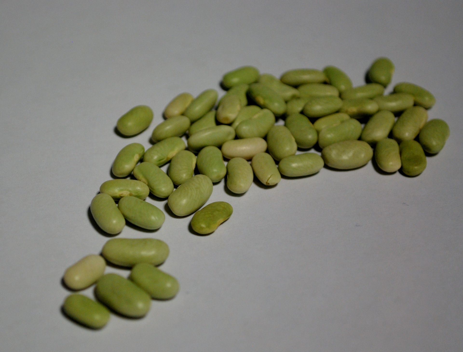 Flageolet beans presented for export
