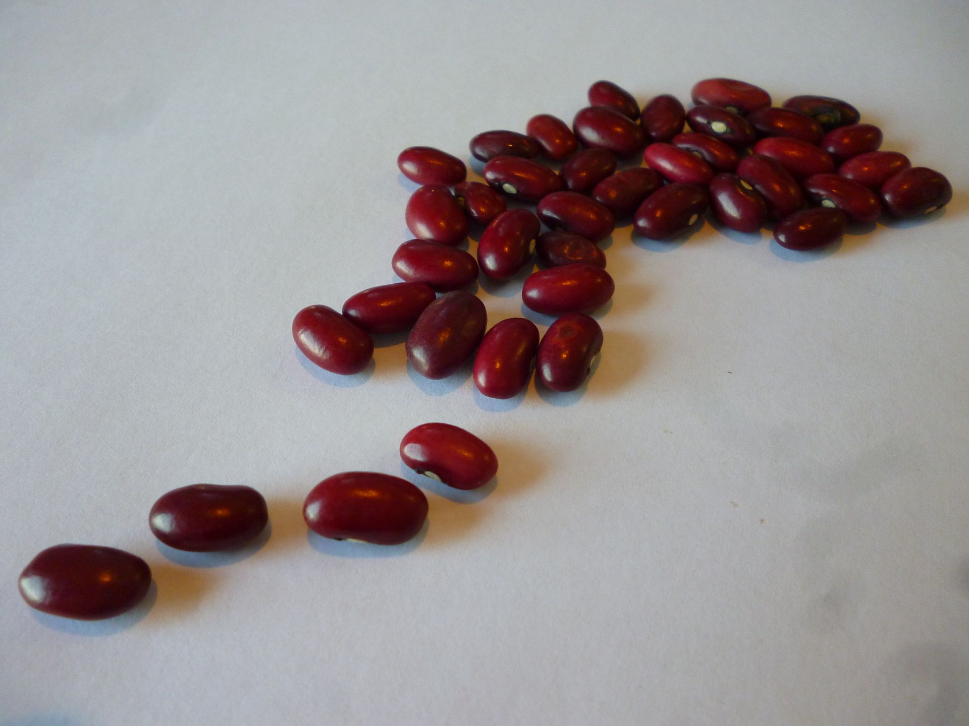 Small red beans presented for export