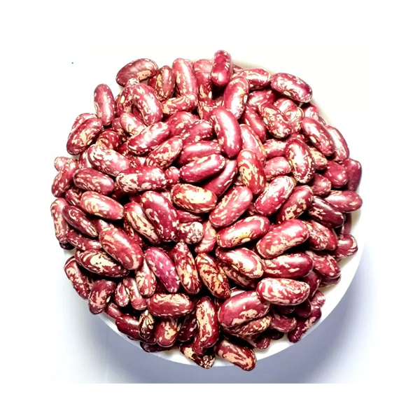 Red speckled kidney beans close-up presented for export