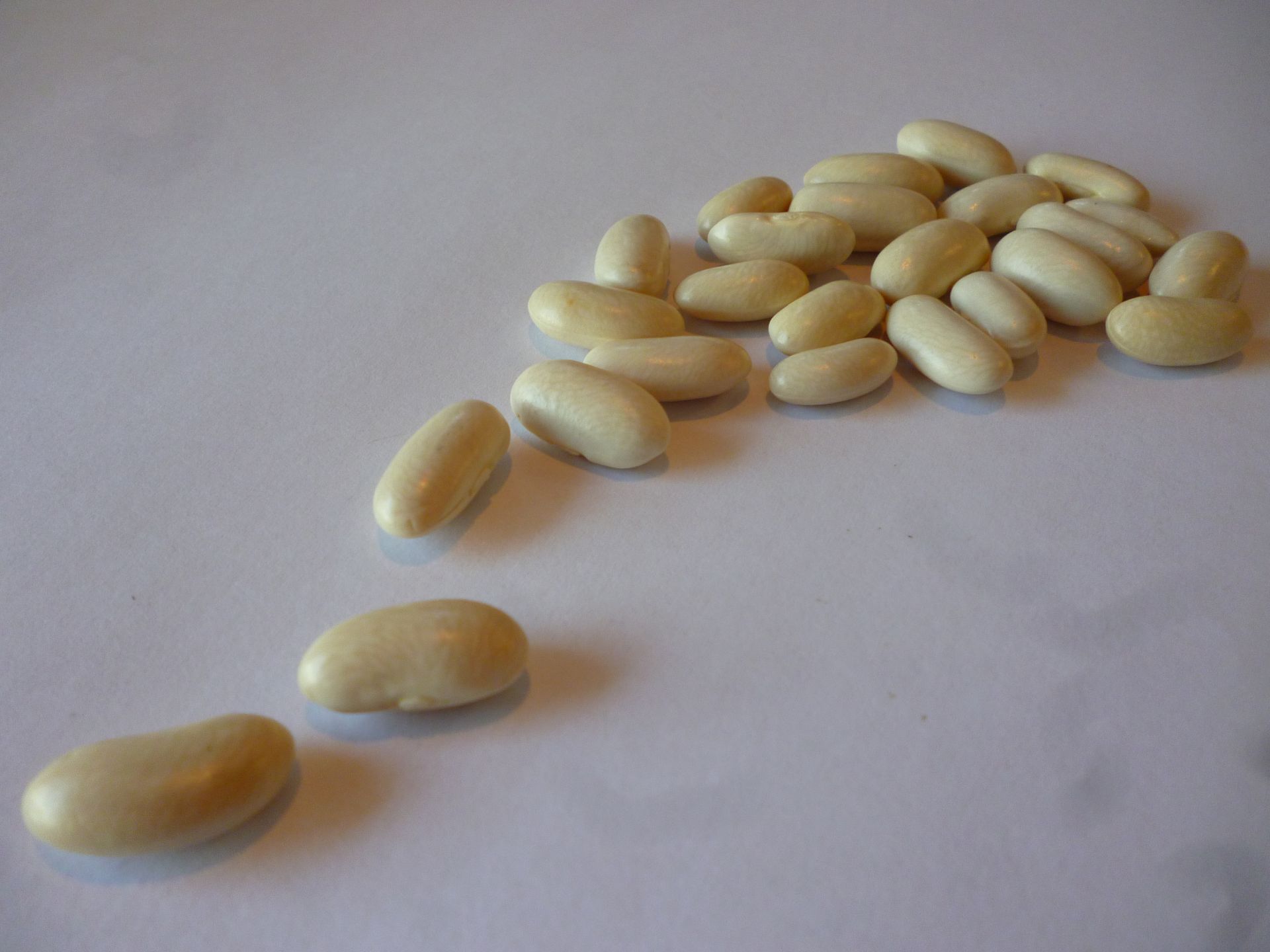 Alubia white beans presented for export