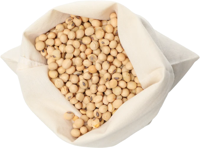 An open sack filled with white beans prepared for export