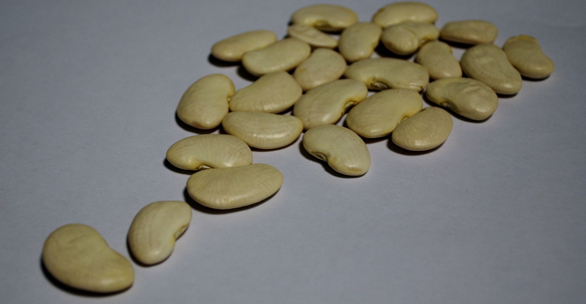 Lima white beans presented for export