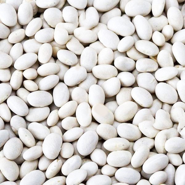 White pea beans presented for export