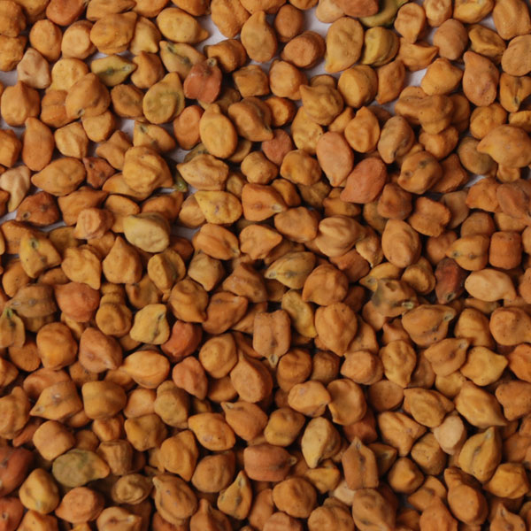 Desi chickpeas close-up presented for export