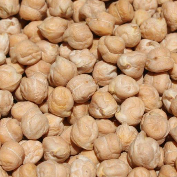 Kabuli chickpeas in bulk presented for export