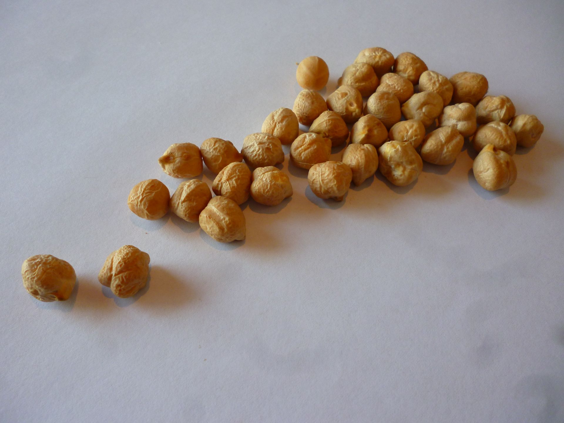 Chickpeas presented as an Ethiopian agricultural export product