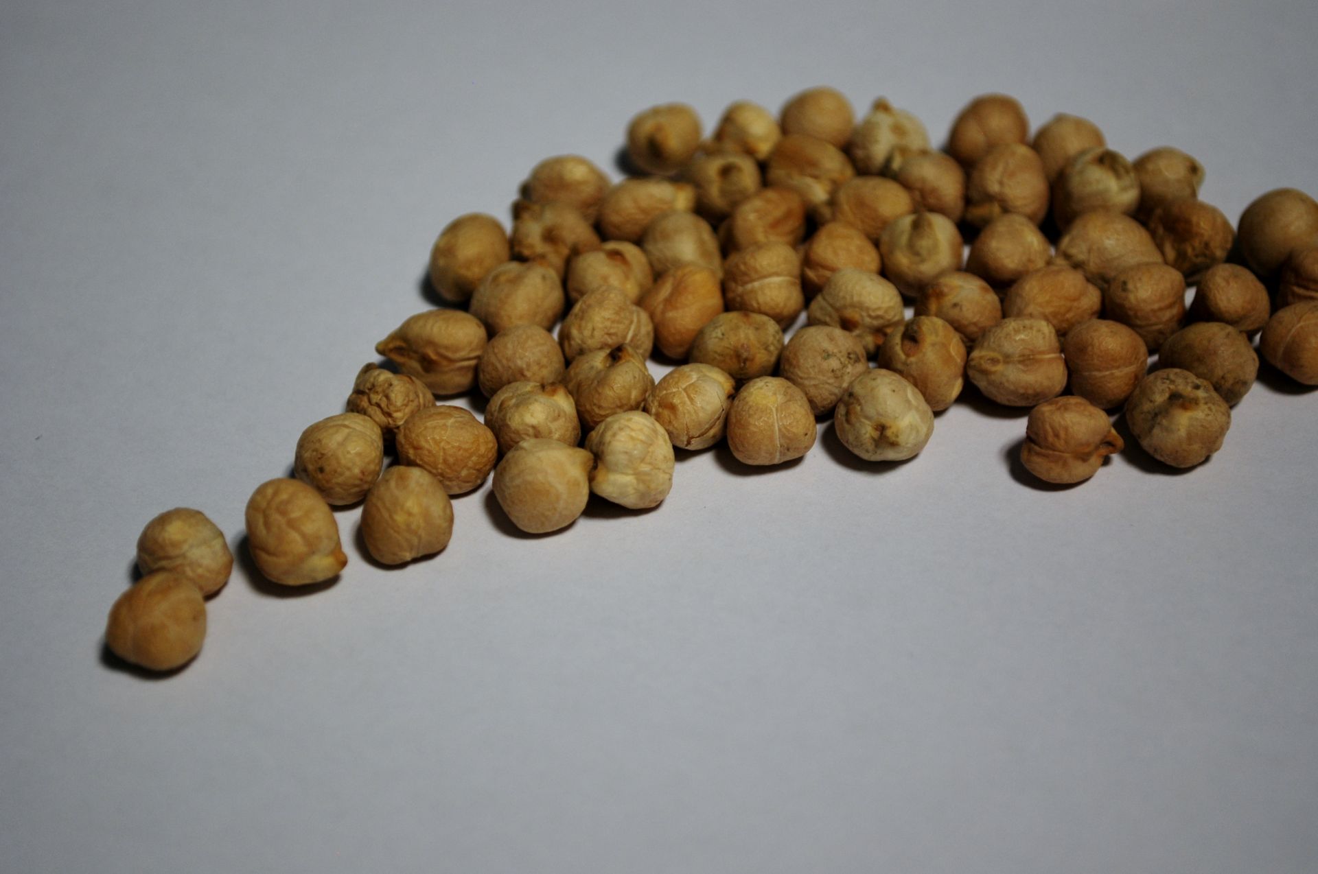 Medium chickpeas presented for export