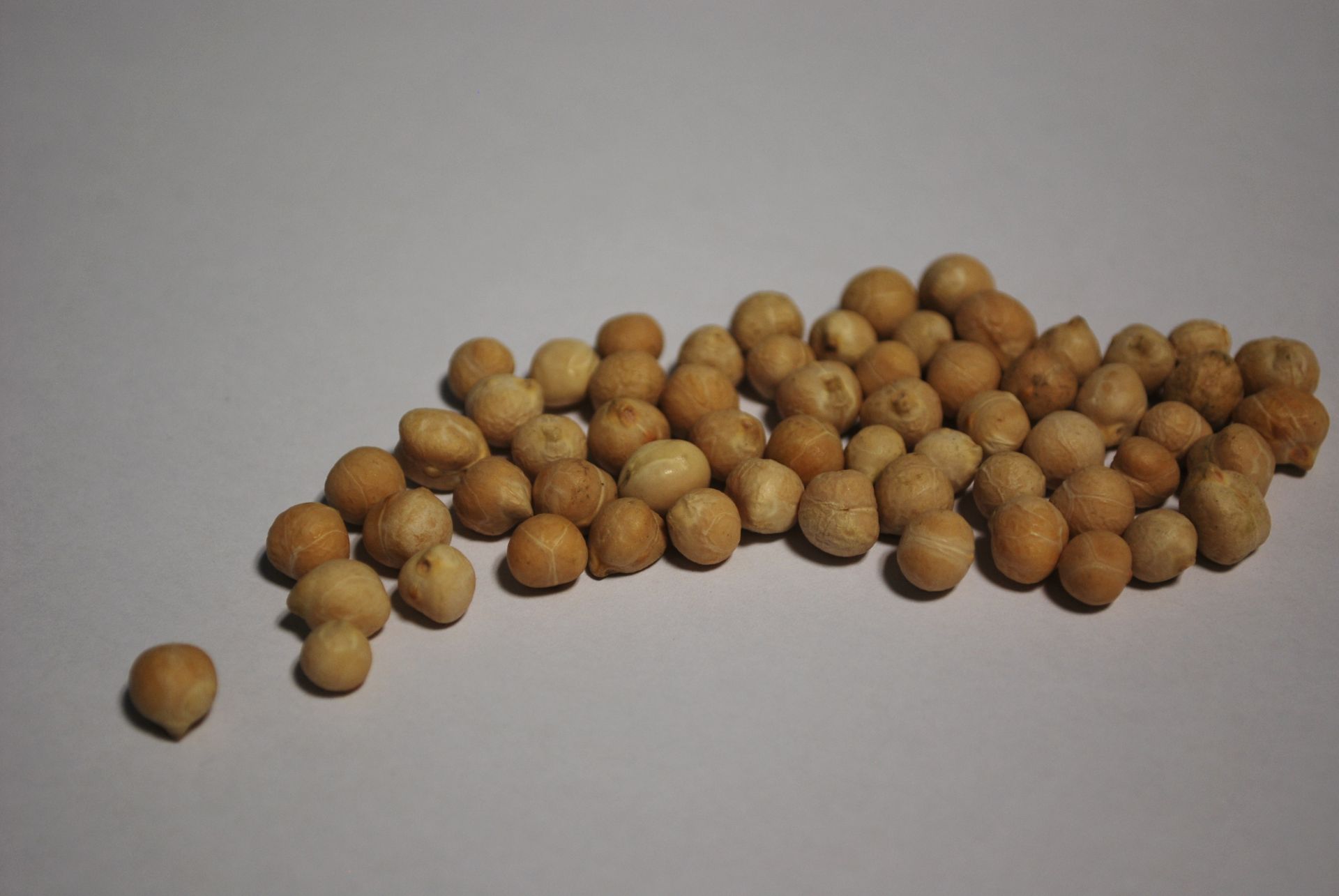 Small chickpeas presented for export