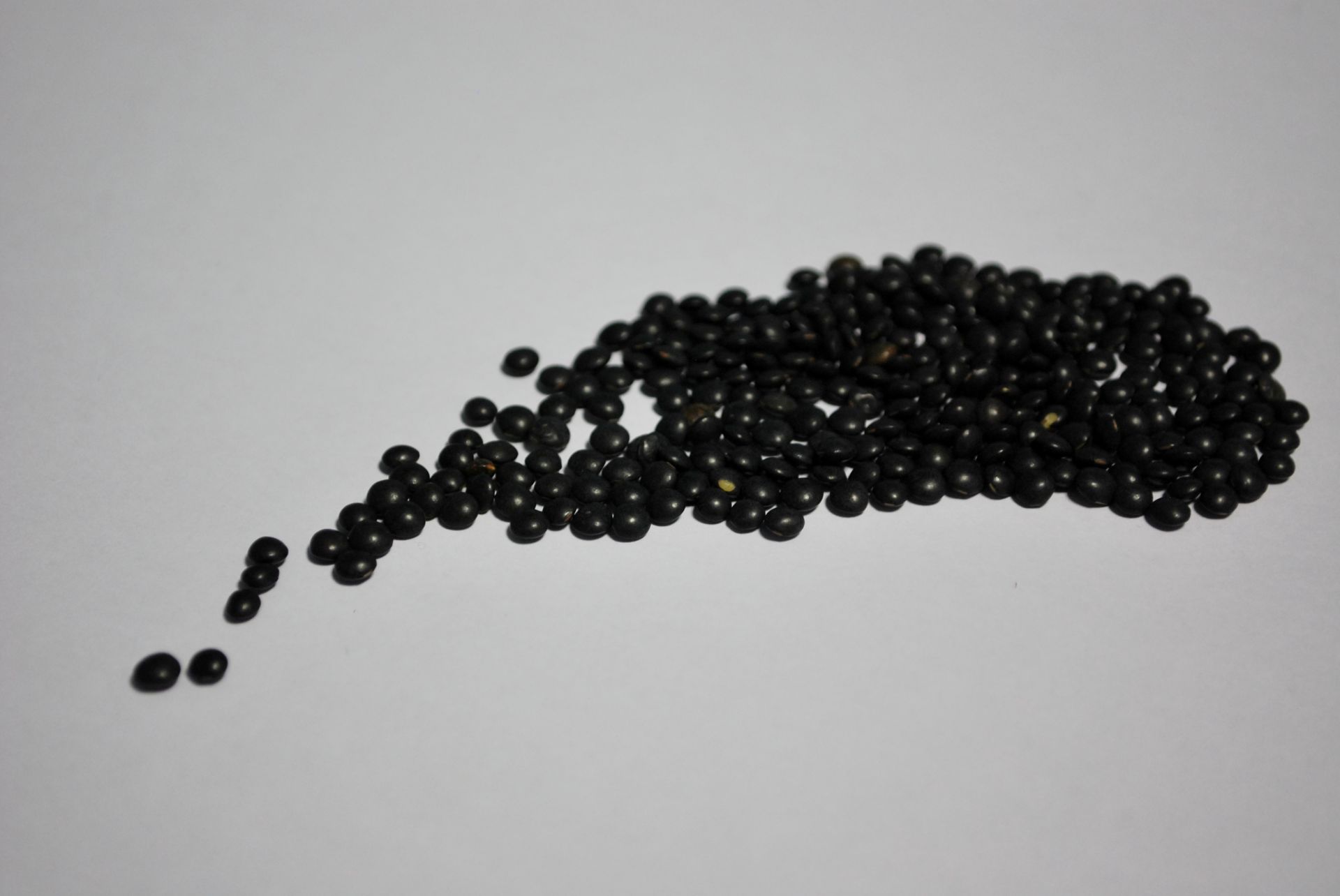 Beluga lentils presented for export