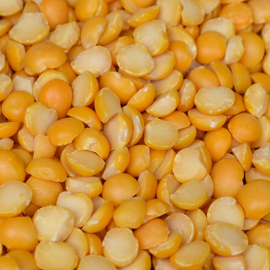 Yellow split lentils presented for export