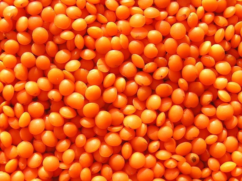 Red football lentils presented for export