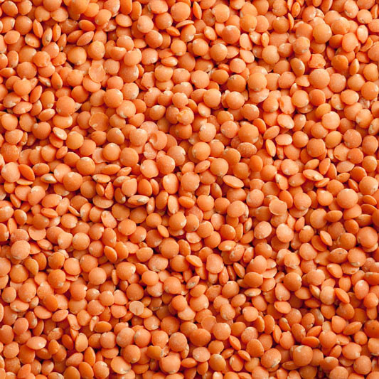 Red split lentils presented as an Ethiopian agricultural export product
