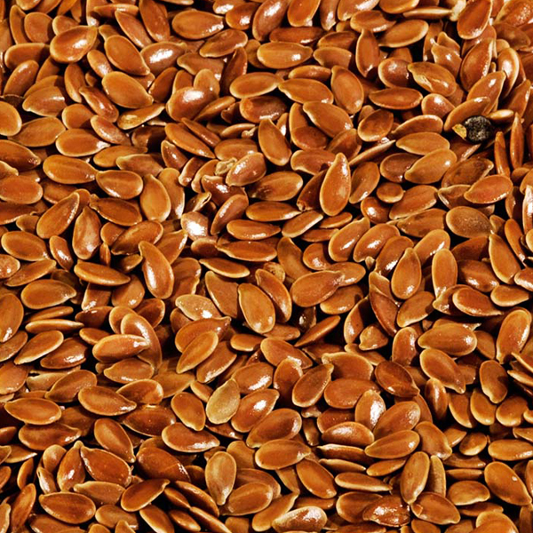 Flax seeds presented for export