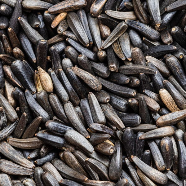 Niger seeds presented for export
