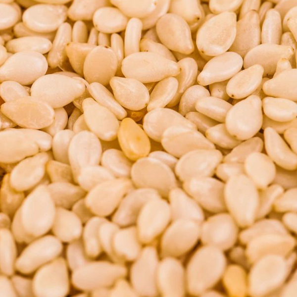 Wollega sesame seeds presented for export
