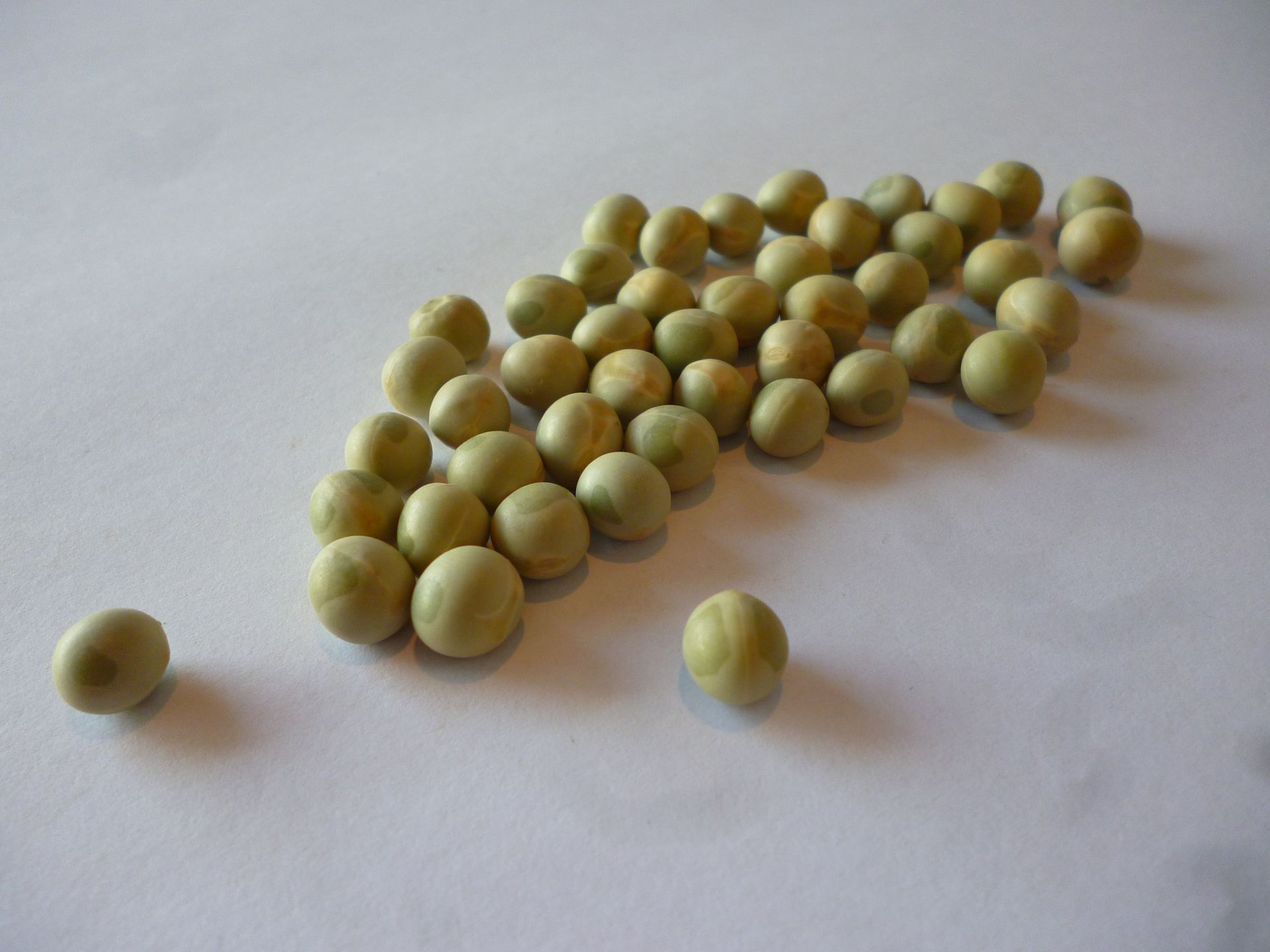 Green peas presented as an Ethiopian agricultural export product