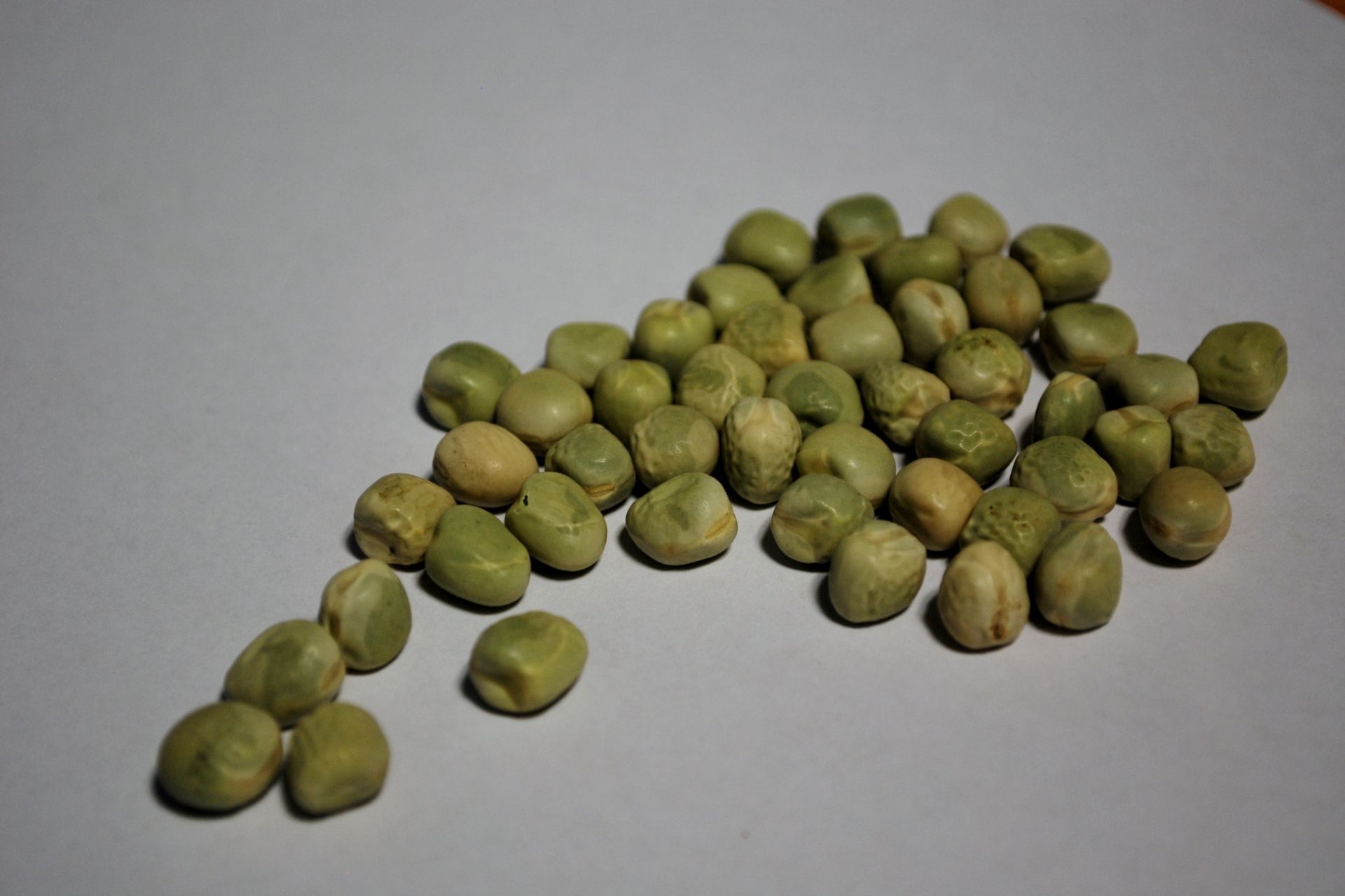 Marrowfat peas presented for export