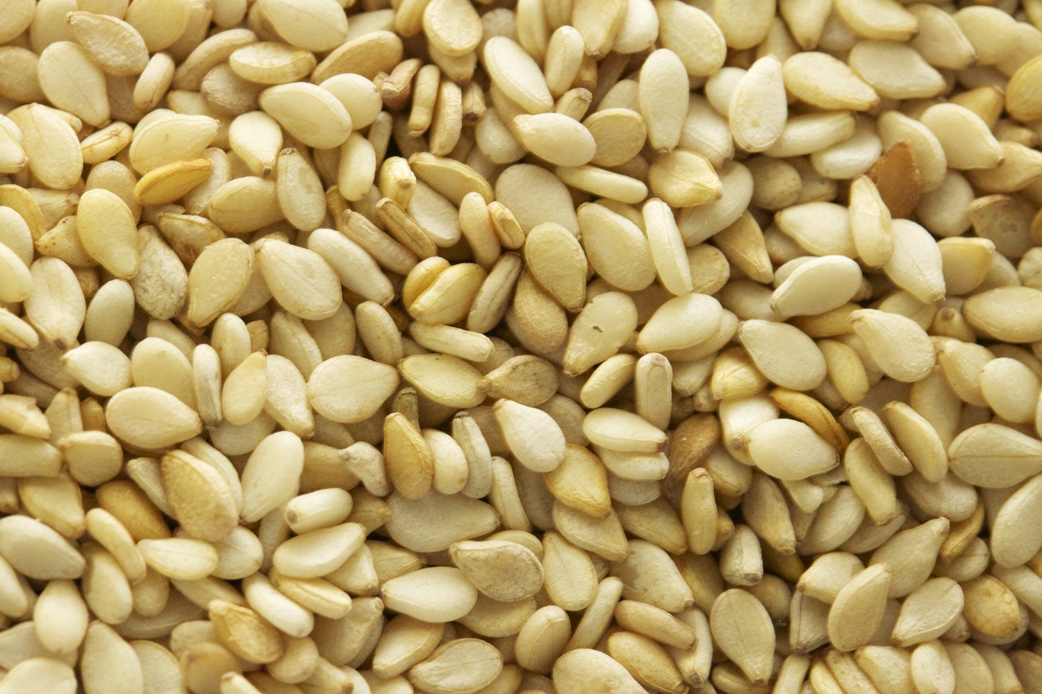 Sesame seeds presented as an Ethiopian agricultural export product